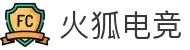 火狐电竞-畅享极致电竞体验